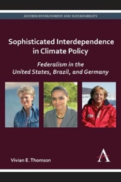 Sophisticated Interdependence in Climate Policy