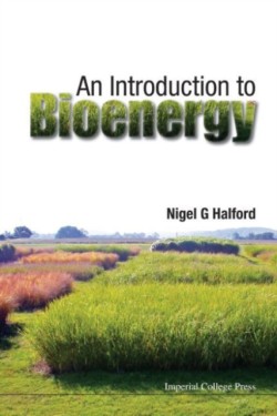 Introduction To Bioenergy, An