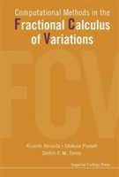 Computational Methods In The Fractional Calculus Of Variations