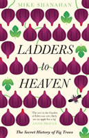 Ladders to Heaven