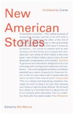 New American Stories