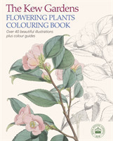 Kew Gardens Flowering Plants Colouring Book