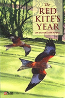 Red Kite’s Year