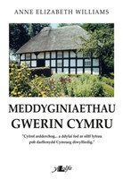 Meddyginiaethau Gwerin Cymru