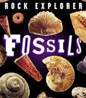 Rock Explorer: Fossils