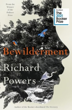 Bewilderment