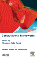 Computational Frameworks