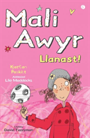 Mali Awyr: Llanast