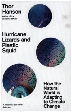Hurricane Lizards and Plastic Squid