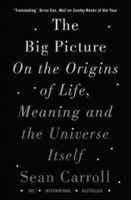 The Big Picture On the Origins of Life, Meaning, and the Universe Itself