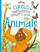 Curious Questions and Answers about Animals