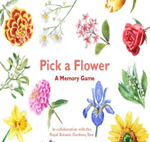 Pick a Flower (Kinderspiel)