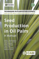 Seed Production in Oil Palm