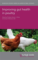 Improving Gut Health in Poultry