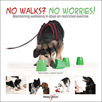 No Walks? No Worries!