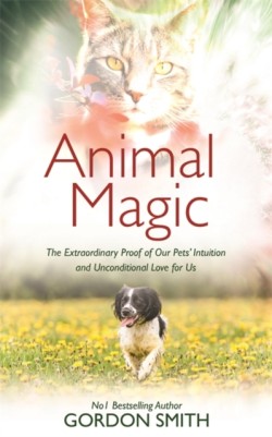 Animal Magic