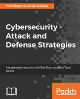 Cybersecurity: Attack and Defense Strategies