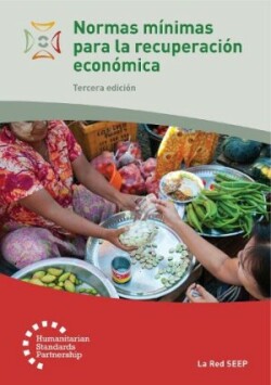 Normas mínimas para la recuperación económica 3rd Edition