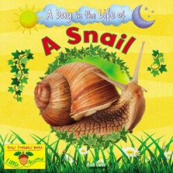 Snail