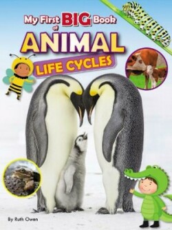 My First BIG Book of ANIMAL Life Cycles