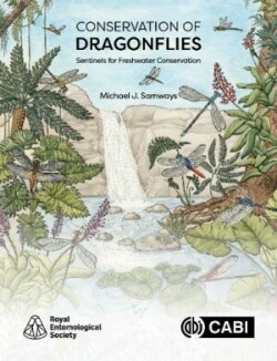 Conservation of Dragonflies