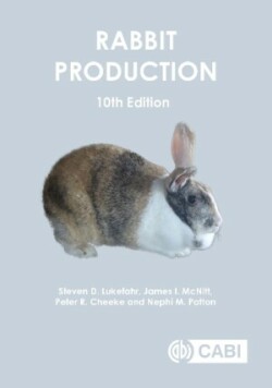 Rabbit Production