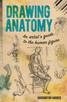 Drawing Anatomy