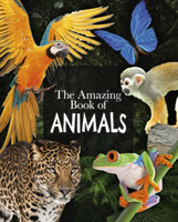 Amazing Book of Animals