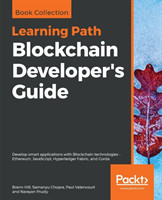 Blockchain Developer's Guide