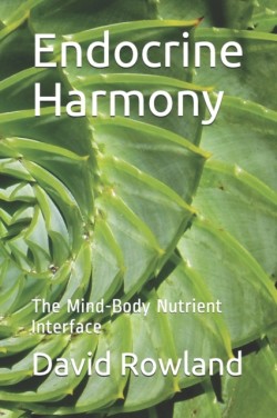 Endocrine Harmony