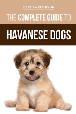 Complete Guide to Havanese Dogs