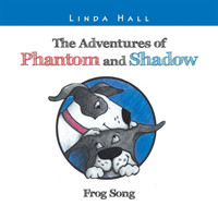 Adventures of Phantom and Shadow Frog Song