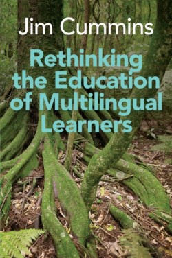 Rethinking the Education of Multilingual Learners A Critical Analysis of Theoretical Concepts