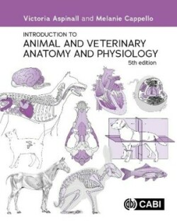 Introduction to Animal and Veterinary Anatomy and Physiology