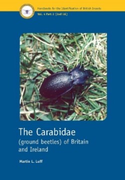 Carabidae (ground beetles) of Britain and Ireland