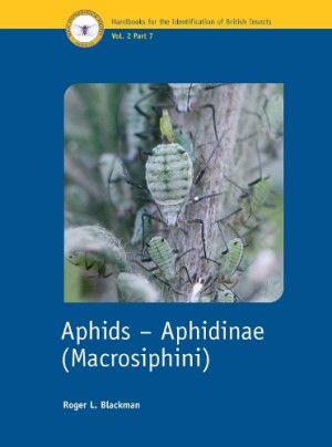 Aphids – Aphidinae (Macrosiphini)