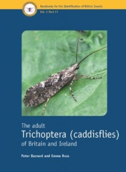 adult Trichoptera (caddisflies) of Britain and Ireland