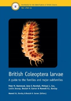 British Coleoptera Larvae