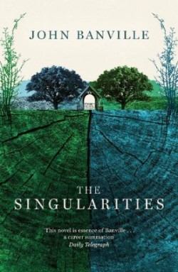 Singularities