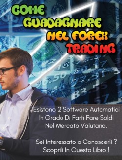 Come Guadagnare Nel Forex Trading