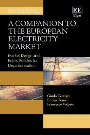 Companion to the European Electricity Market