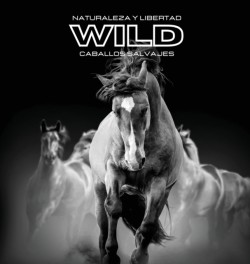 Naturaleza y Libertad WILD Caballos Salvajes