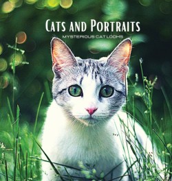 CATS and PORTRAITS - Mysterious Cat Looks