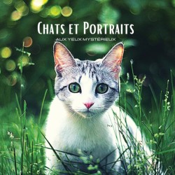 CHATS et PORTRAITS - Aux Yeux Mysterieux