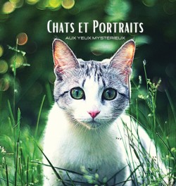 CHATS et PORTRAITS - Aux Yeux Mysterieux