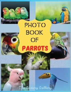 Photo Book of Parrots