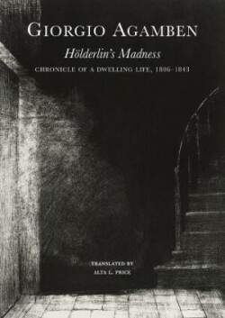 Hölderlin’s Madness