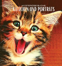 Katzchen Und Portrats