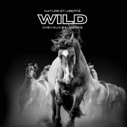 Nature et Liberte WILD Chevaux Sauvages