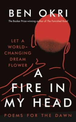 Fire in My Head